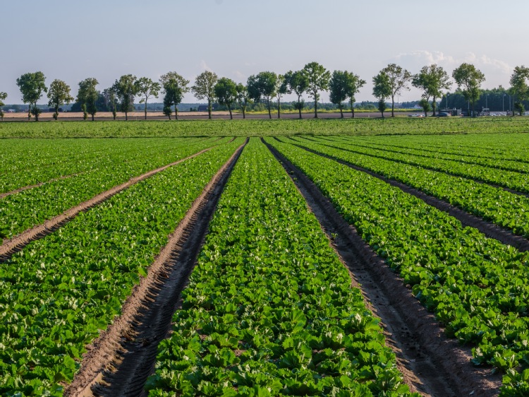 Redukcja emisji CO2 o 47 proc. – Green Holding wdraża ESG